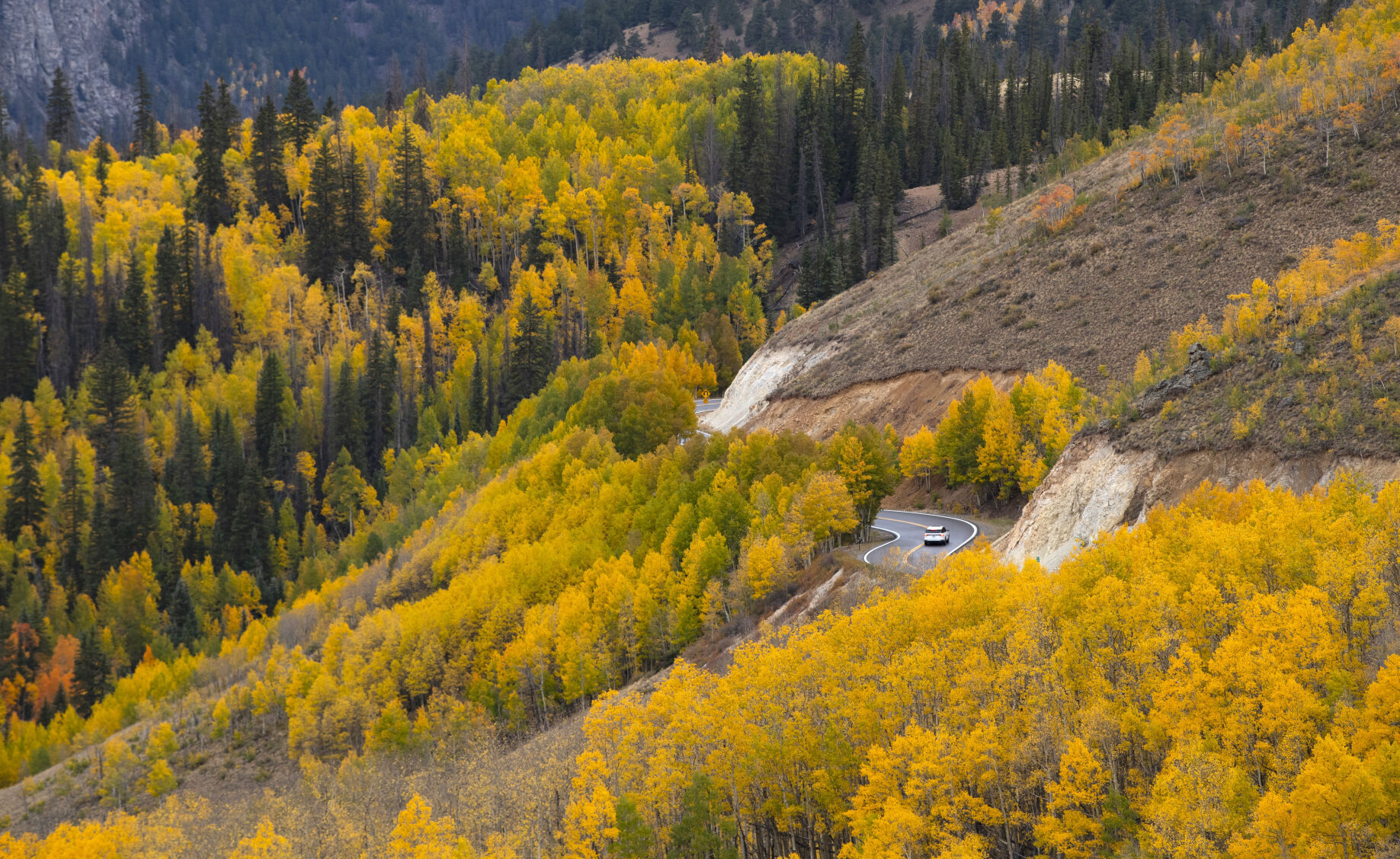 09_28_21 aspens 00453.jpg